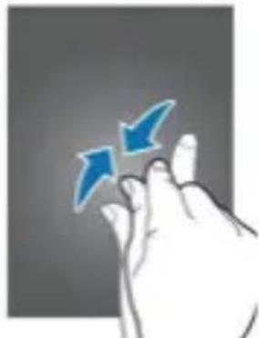 Trevi 4.5Q2 - Pincer - 1