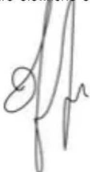 Trevi 4.5Q2 - DICHIARAZIONE DI CONFORMITA - 1