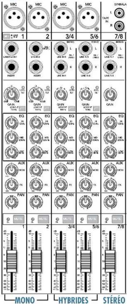 MACKIE ProFX12 - TApE OuTpuTs - 2