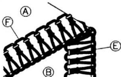 LEWENSTEIN Multilock 700de - 0 - 2