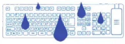 Seal Shield S106G2 - Empfohlene Reinigungsprotokolle - 4