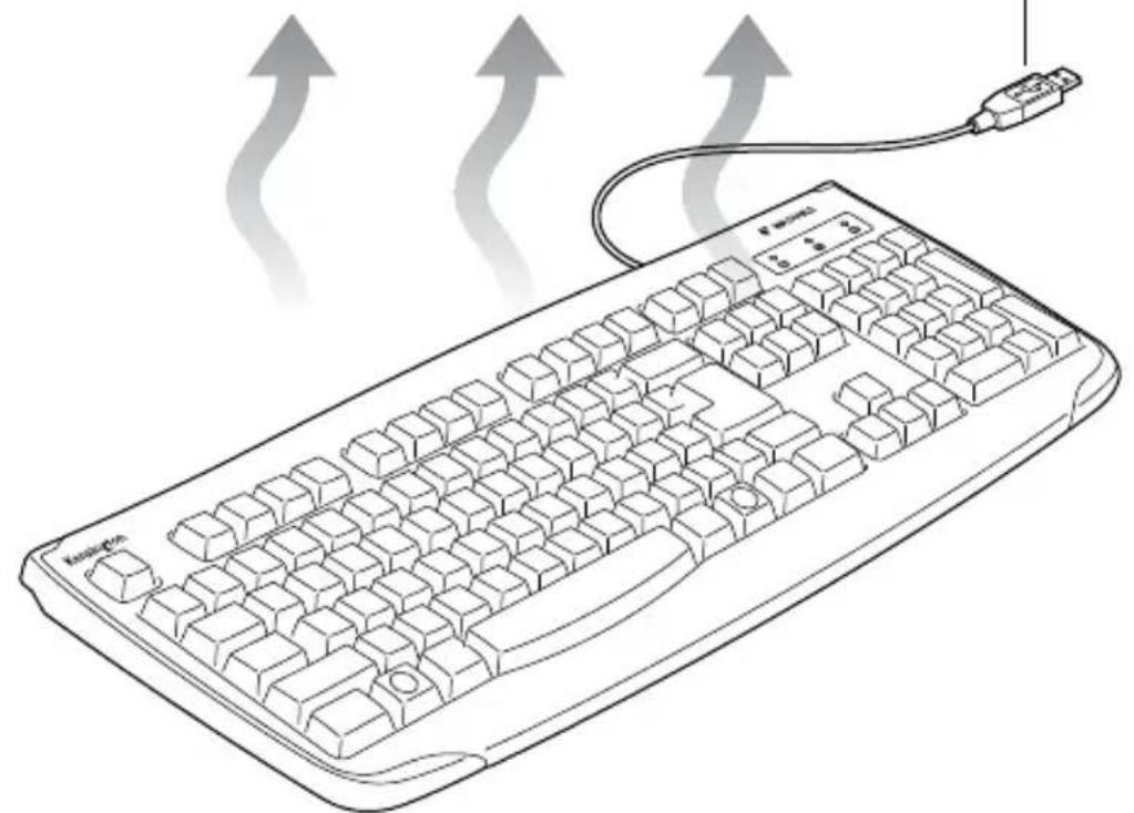 KENSINGTON Pro Fit USB K64407US - 1