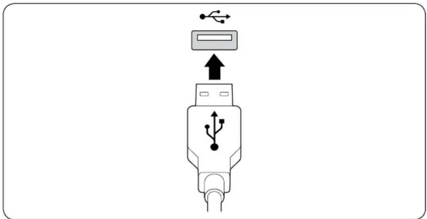 KENSINGTON Comfort Type - Compatibilité - 1