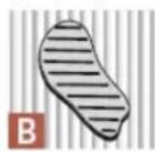 KOENIG Compact Pro 220 - PROFI-TIPP: - 2