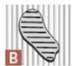 KOENIG Monarch 390 B08181 - ASTUCE DE PRO: - 2