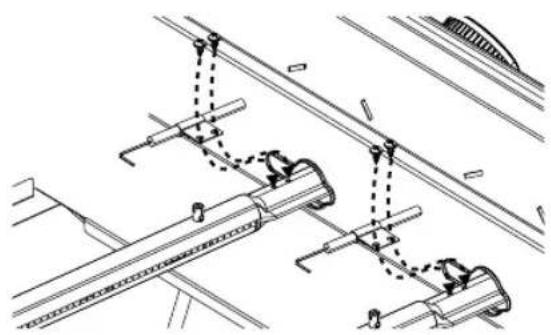 BLOOMA Barker - En début de saison - 2