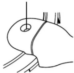 Presto 01264 - INTRODUCTION - 3