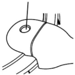 Presto 01264 - INTRODUCTION - 2