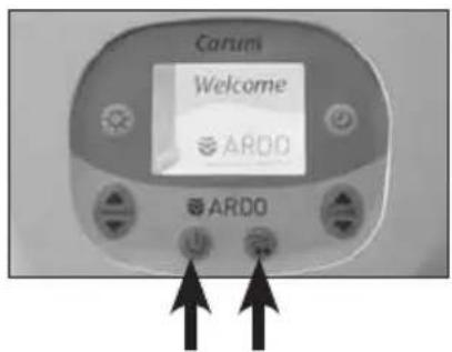 Ardo Carum - Manejo - 2