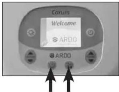 Ardo Carum - Hintergrundbeleuchtung - 2