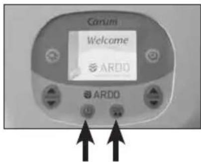Ardo Carum - Baggrundslys - 2