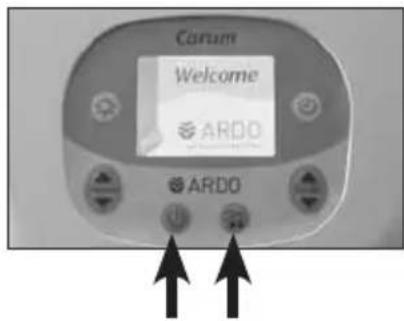 Ardo Carum - Rétroéclairage - 2