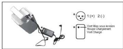 WAYSCRAL W450 - 2) Batterie - 11