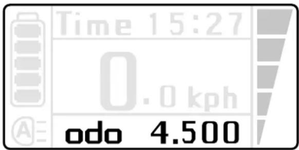 Batavus Monaco Ego - Variable Anzeige - 5
