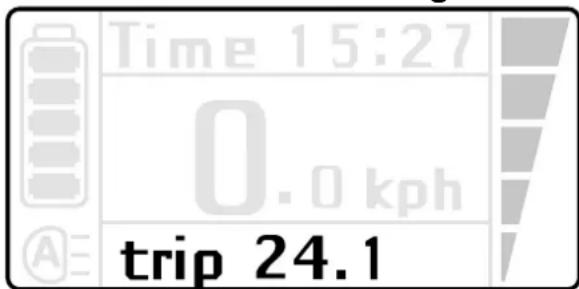 Batavus Monaco Ego - Variabile indicatie - 1