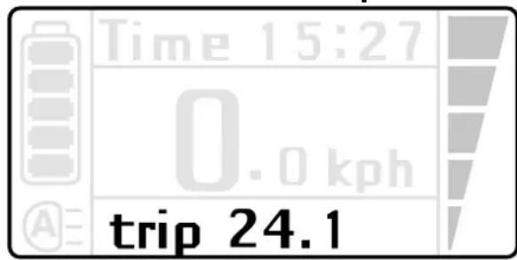Batavus Monaco Ego - Variable indicator - 1