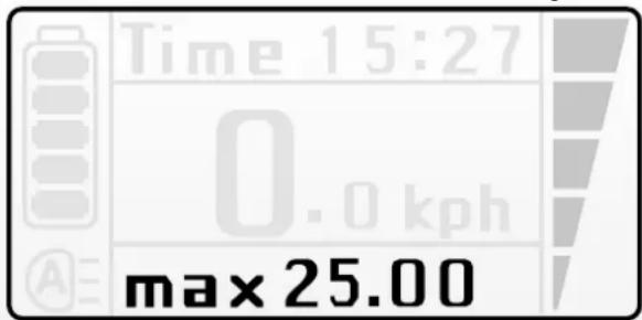 Batavus Monaco Ego - Variable indicator - 3