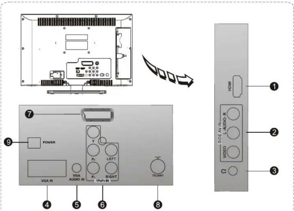 Erisson 19LES61 - Задняя панель - 1