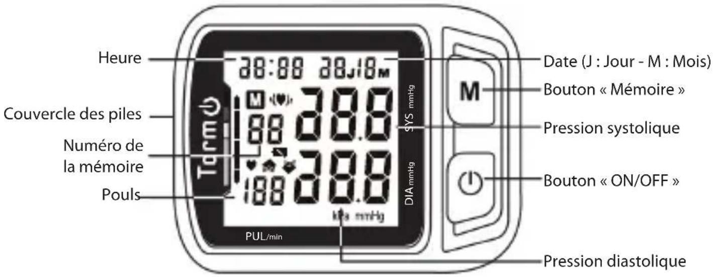 TORM KD7031 - Description de l'appareil - 1