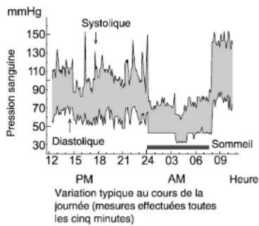 A&D Médical UB328 - Variations de la pression sanguine - 1