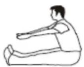 TREO T101 - 3/ ETIREMENT DES ISCHIOS JAMBIERS ET DU BAS DU DOS - 1