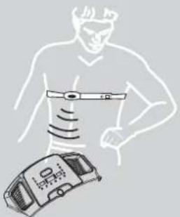 DOMYOS TC 790 - Utilisation de la ceinture - 2