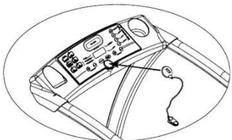 DOMYOS TC 450 - Informations sur le compteur : - 2