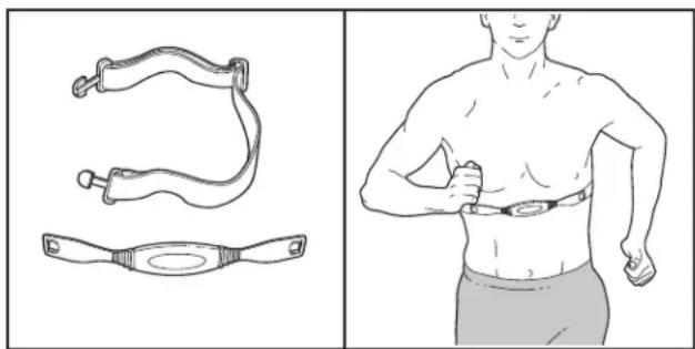 Pro-form Audio Series 475 - CAPTEUR CARDIAQUE DU TORSE EN OPTION - 1