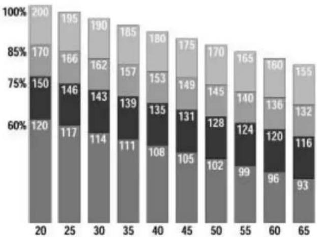 Toorx TRX Marathon - Programme d'entraînement - 2