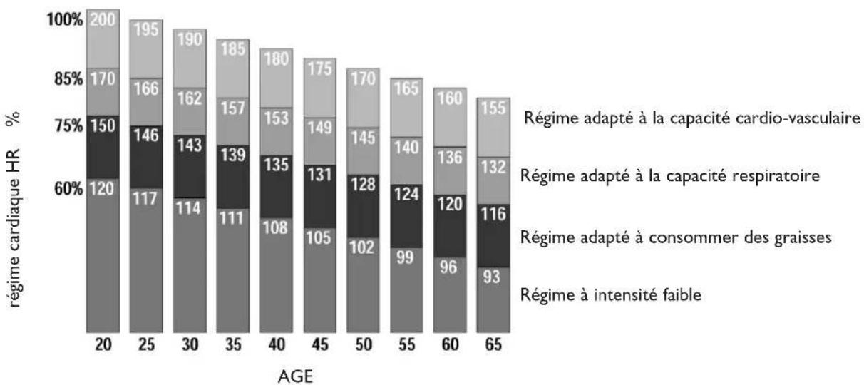 Toorx TRX Active Compact - DANGER - 1