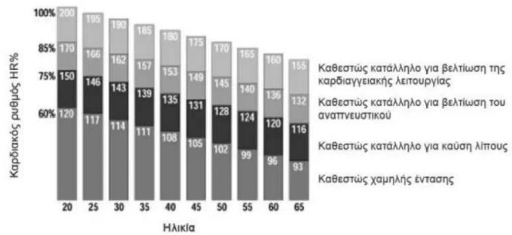 Toorx TRX65 S Evo - Uuβouλες προπόνησς - 1