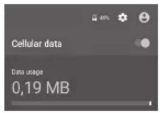 Qilive Q5 5inch - Activarea datelor mobile - 4