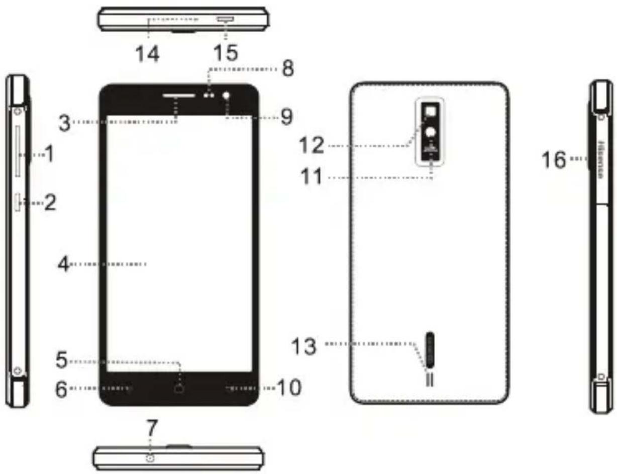 HISENSE G610 - Droit d'auteur - 1