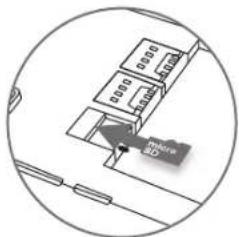 ESSENTIELB Connect 503 - Insérer les cartes SIM &amp; CARTE SD - 3
