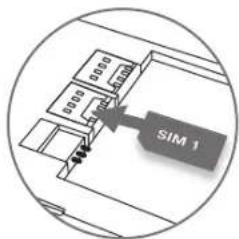 ESSENTIELB Connect 503 - Insérer les cartes SIM &amp; CARTE SD - 1