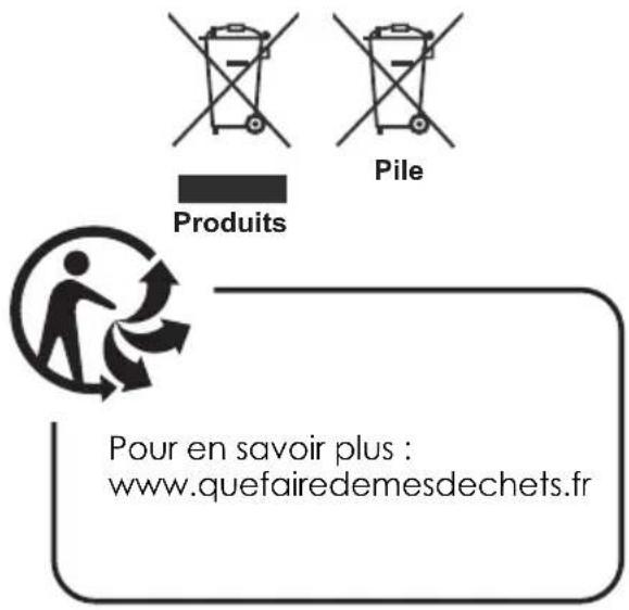 WINDSOR WD65245ELED - Informations pour les utilisateurs en matière de mise au rebut des appareils et des piles désuets [Union europeenne uniquement] - 1