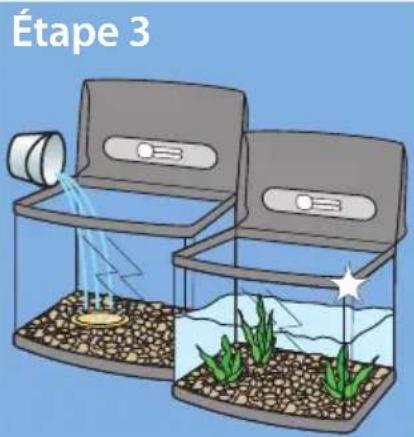 SuperFish Panorama 40 - La mise en service de votre aquarium: - 4