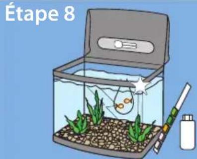 SuperFish Panorama 40 - La mise en service de votre aquarium: - 9