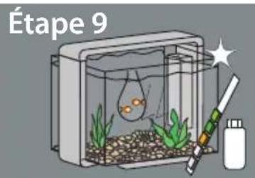 SuperFish Home 25 - La mise en service de votre aquarium: - 9