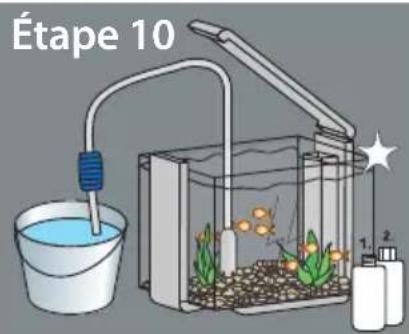 SuperFish Home 25 - La mise en service de votre aquarium: - 10