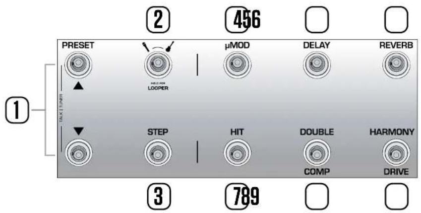 TC HELICON Voicelive 3 - LEDs Level - 2