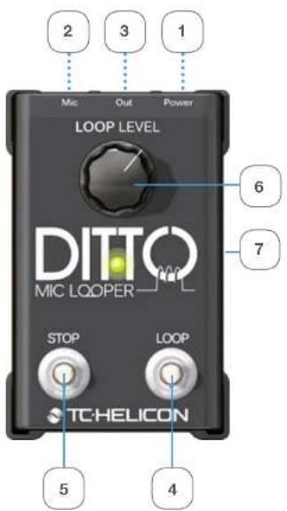TC HELICON Ditto Mic Looper - Entrées, sorties et commandes - 1