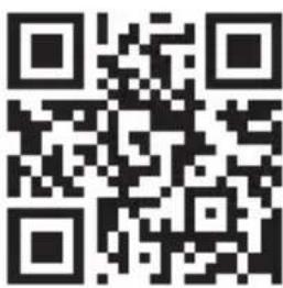 TERRAILLON ActiviT Band - 5