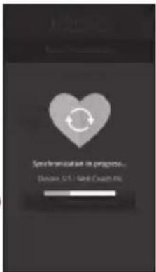 TERRAILLON ActiviT Band - WARRANTY &amp; ENVIRONMENT PROTECTION - 7