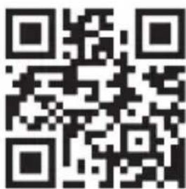 TERRAILLON ActiviT Band - 7