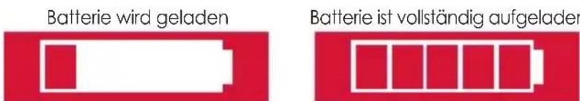 TERRAILLON ActiviT Band - WIE SIE DIE DATEN ANSEHEN KÖNNEN - 1