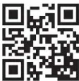 TERRAILLON ActiviT Band - 8