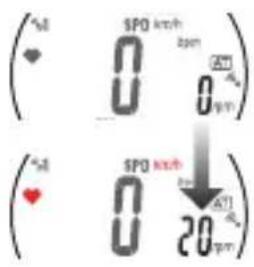 CAT EYE Q3 - Capteur de vitesse (côte CADENCE) - 1