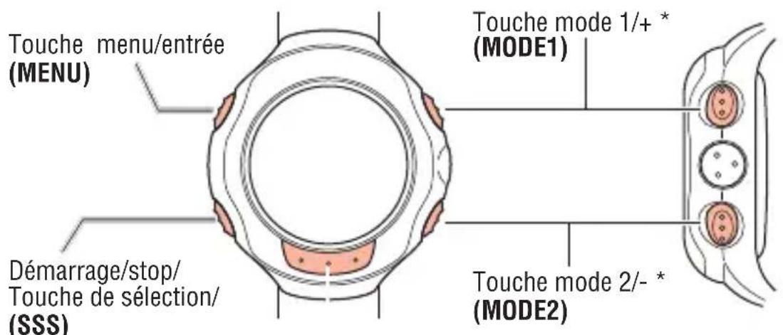 CAT EYE Q3 - Description de la montre et de ses composants - 1