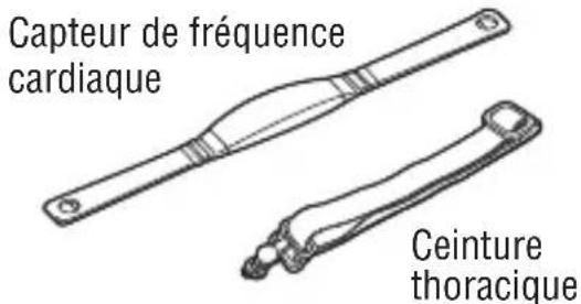 CAT EYE Q3 - Description de la montre et de ses composants - 6